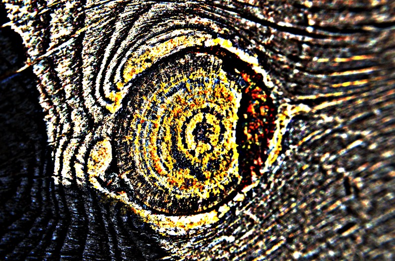Stacks Image 264