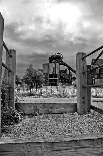 Stacks Image 766